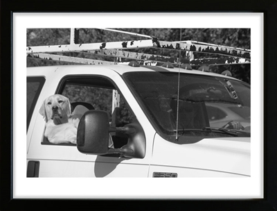 Fotoplakat -Dog - It\'s my car 